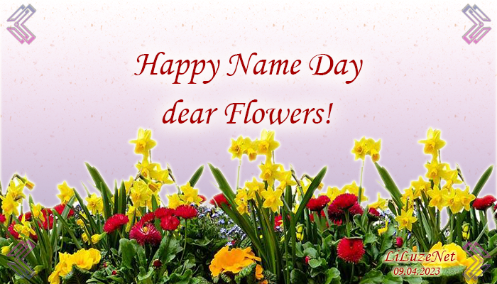 Happy Name Day Happy Name Day